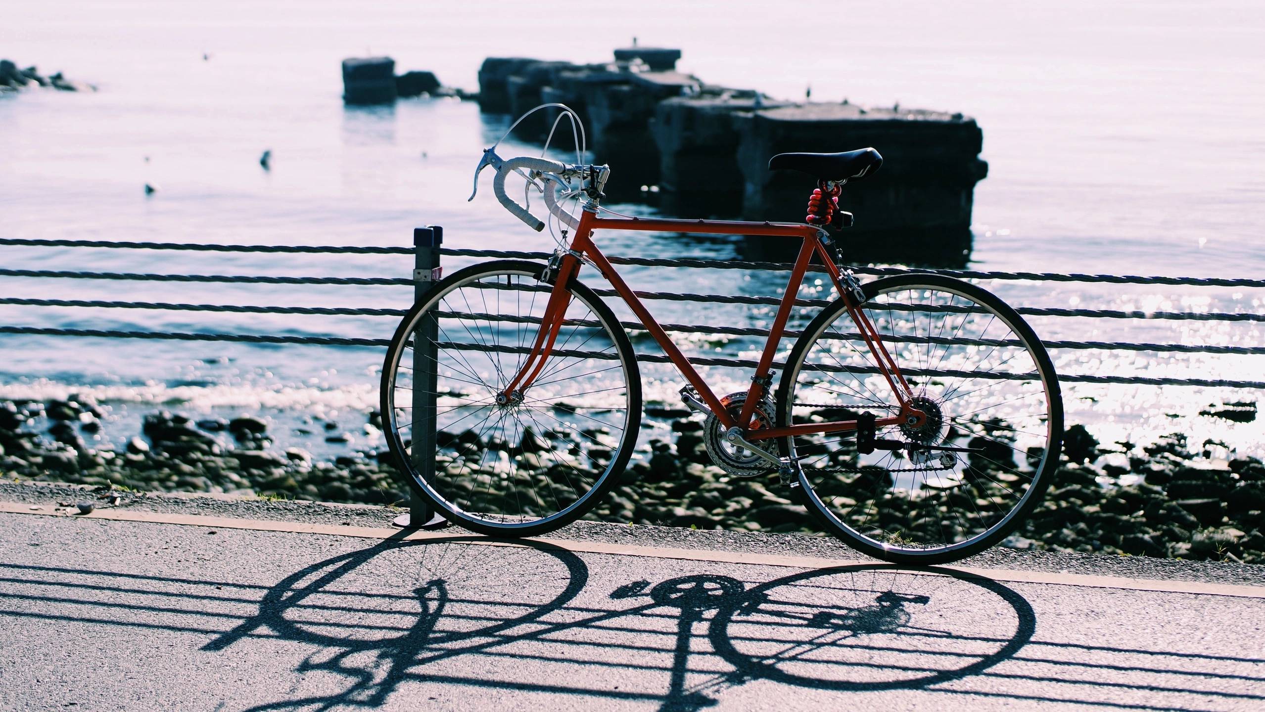 Cyclists on a Trail